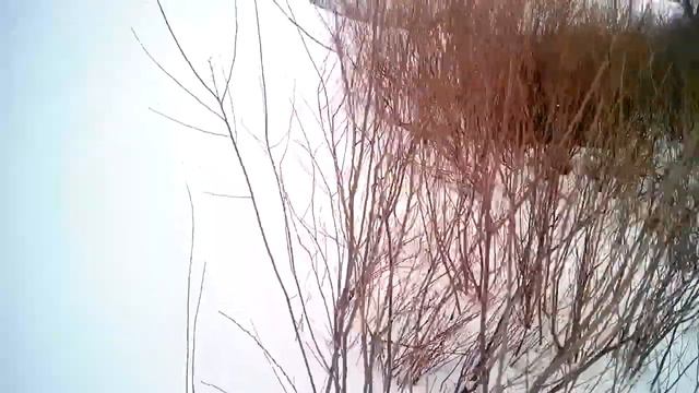 Охота на зайца сезона 2016-2017. Восьмой