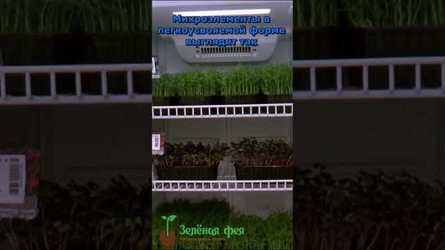 Настоящие витамины и микроэлементы выглядят так смотреть онлайн