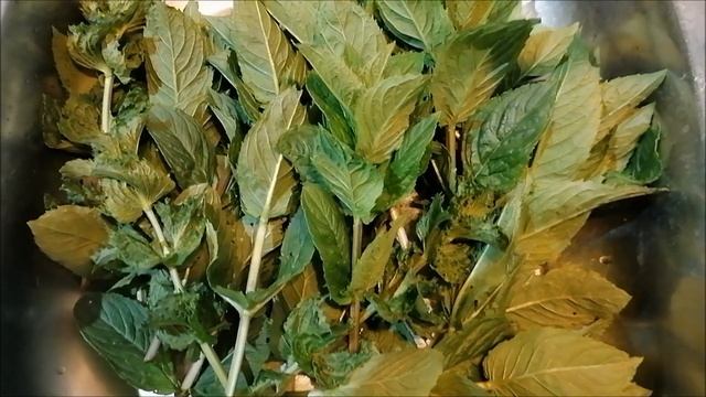 Создай Сам Себя