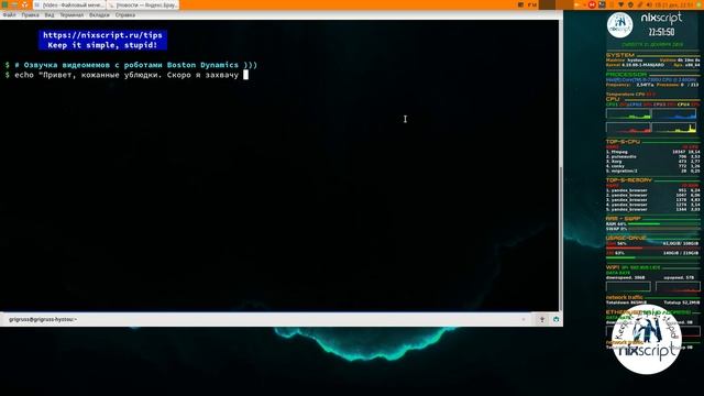 Озвучка видеомемов с роботами Бостон Динамикс ))) смотреть онлайн