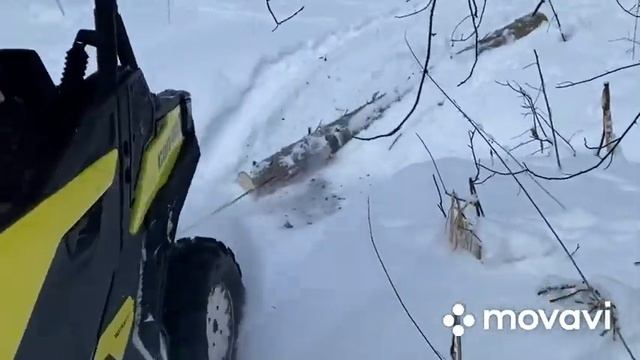 Brp Maverick брп Маверик Brp Maverick Trail 1000