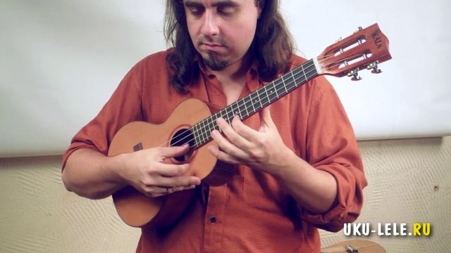 Сравнение укулеле-теноров KALA смотреть онлайн