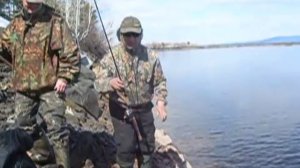 форель на Ангаре