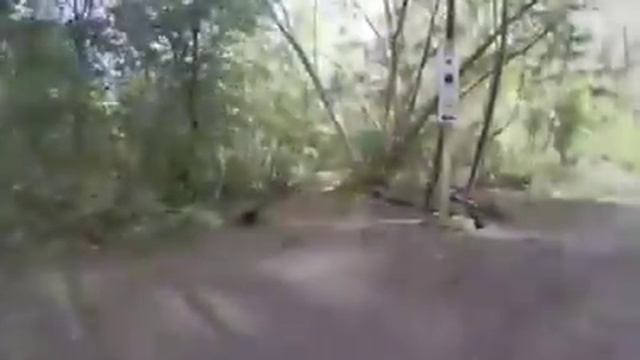 Стабилизатор gopro gimbal Rider M Zhiyun in ActionCam смотреть онлайн
