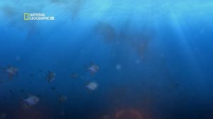 Путешествие к ядру Земли (документальный фильм, 2011)