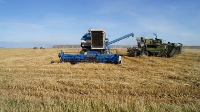 Чистоозерное родное (Хребтова С. И.) смотреть онлайн