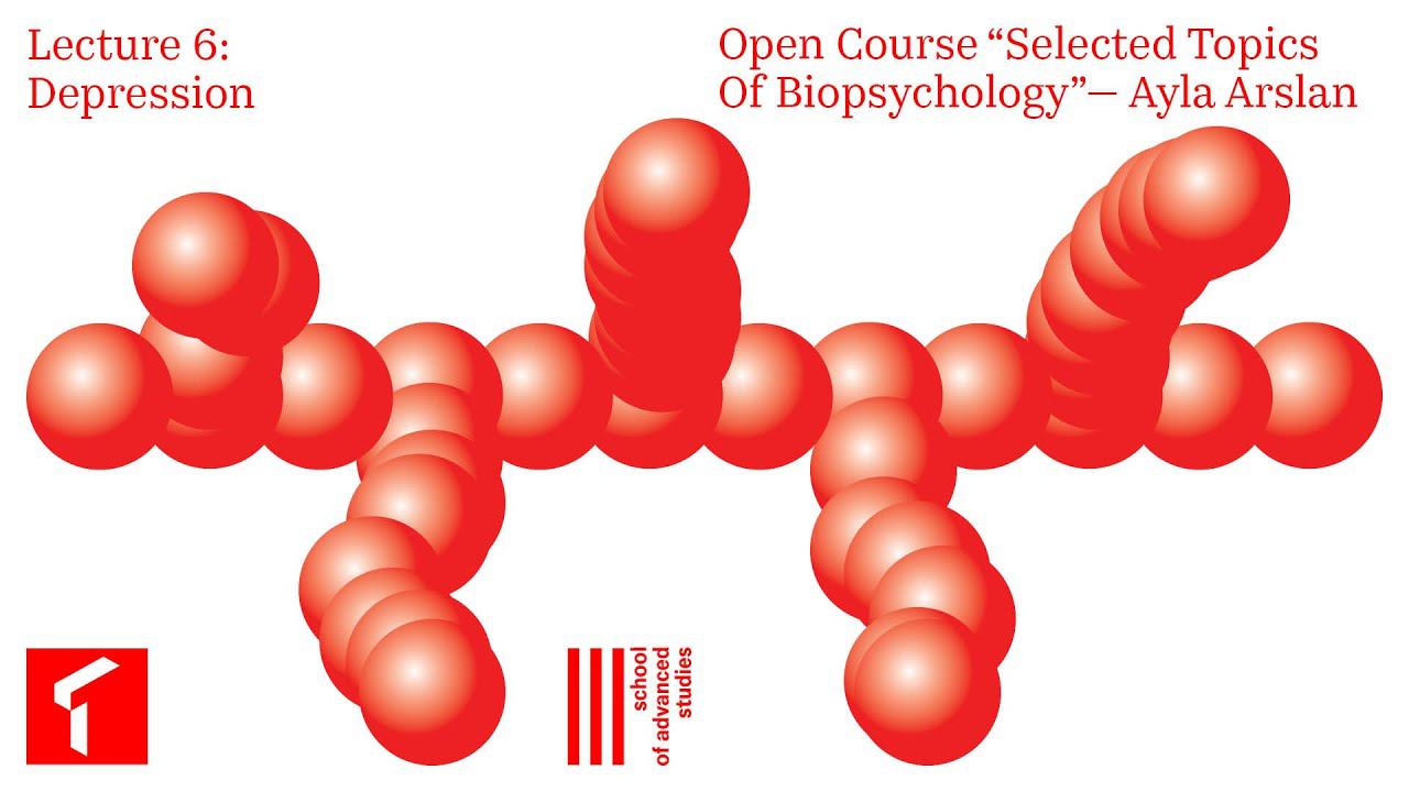 Selected Topics in Biopsychology — Open Course, Lecture 6 | SAS Online | смотреть онлайн