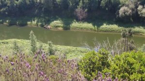 Дом в Португалии/1