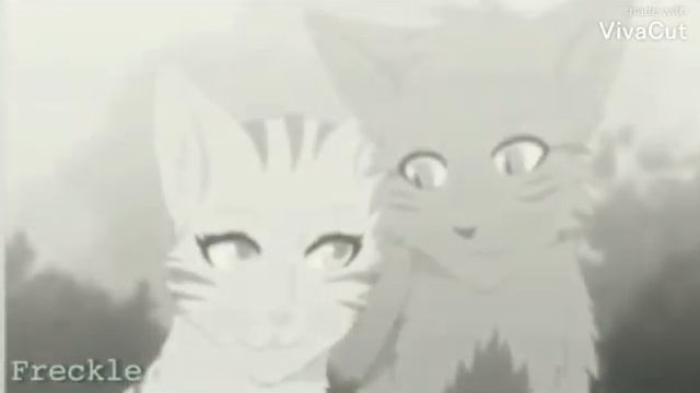 Клип Коты Воители-Мистер и миссис Смит Крутобок и Серебрянка смотреть онлайн
