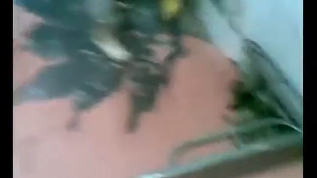 Вот так мы делаем колбасу!!! смотреть онлайн
