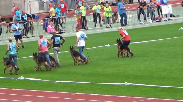 2016 SV BSZS Nuremberg part 73 GHK Ruden Ring part 1 смотреть онлайн