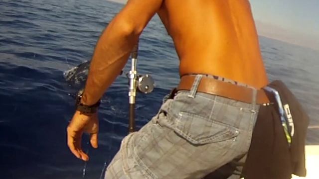 Aguglia Imperiale - Pesca Traina d'Altura con Artificiale - Offshore Fishing смотреть онлайн