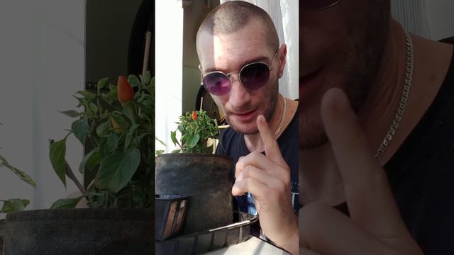 Чем отличаются органические от минеральных удобрений смотреть онлайн