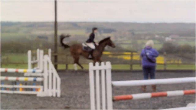 sunlight in my eyes; HPFRC showjumping смотреть онлайн