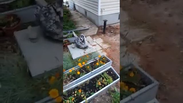 Отзыв заказчика