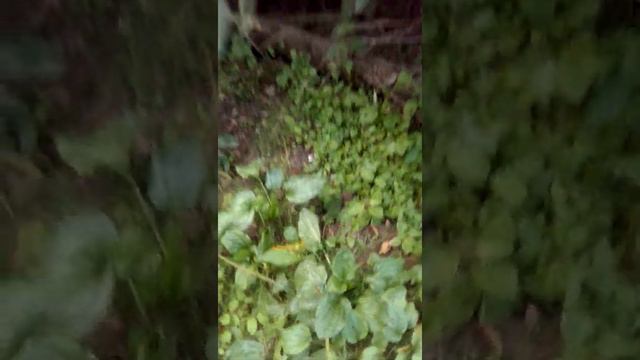 затон реки Ока, блаженство однако! смотреть онлайн