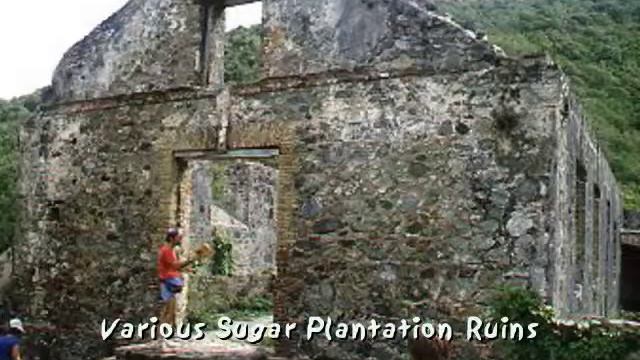 Virgin Islands in the 1980s.mp4 смотреть онлайн