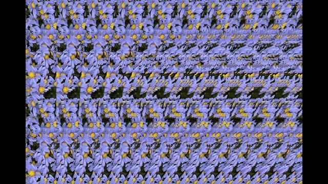 Вы увидите 3д картинки подробности в описании...   #3д #стереограмма #здкартинка