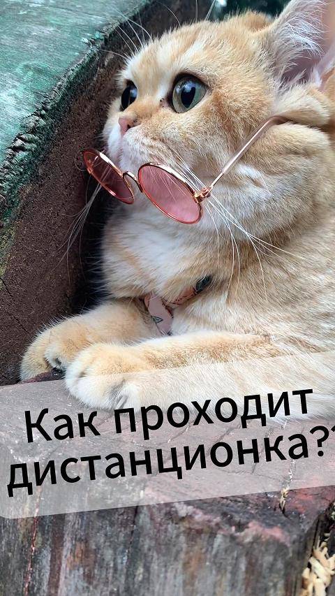 Коротко про дистанционку!!
