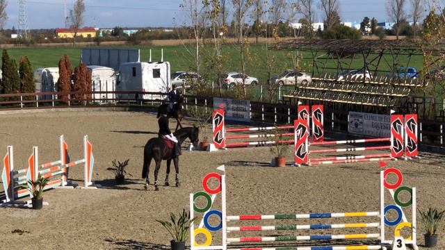 Cornettino - 4 ani (Cornet Obolenski) in Finala Criterii cai 2020, la categoria Cai Debutanti смотреть онлайн