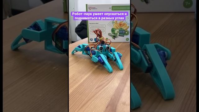 Программируемый Робот-паук Квадропод для детей / Enjoy Robotics смотреть онлайн