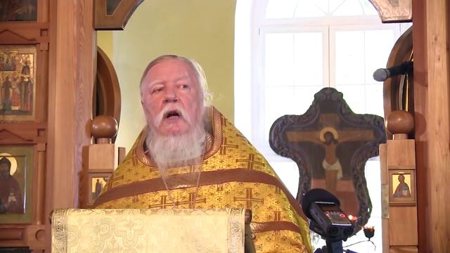 Совершенная радость. Протоиерей Дмитрий Смирнов смотреть онлайн