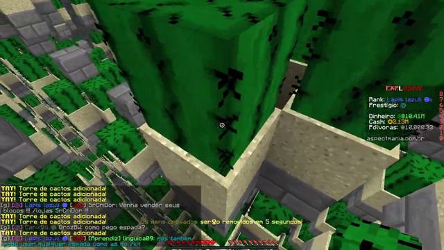 Minecraft: A MAIOR Farm de CACTO do Servido !! FullPvP (aspectMania) смотреть онлайн