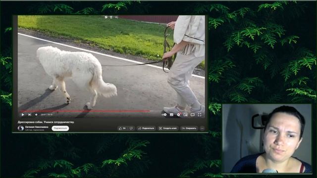 Как НЕ надо гулять с собакой? Комментирую видео зоопсихолога Евгении Маныкиной ч. 2 смотреть онлайн