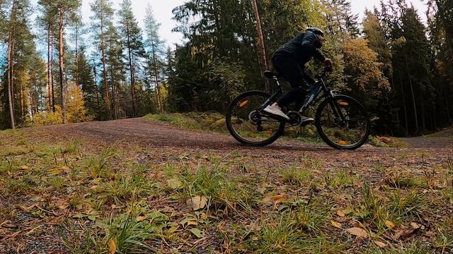 Forest rider (MTB) смотреть онлайн