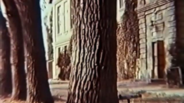 Солнце В А Сухомлинского