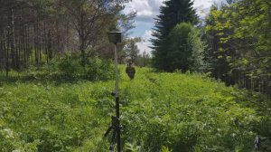 №5. О проекте. Участок в тайге. Благоустраиваюсь. Строю под землёй.