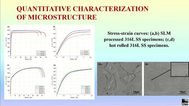 Sevostianov I. — Plenary lecture смотреть онлайн