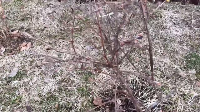 ПРИЕХАЛИ НА ДАЧУ НА ПАСХУ! ПЕРВЫЙ РАЗ ПОСЛЕ ЗИМЫ! смотреть онлайн