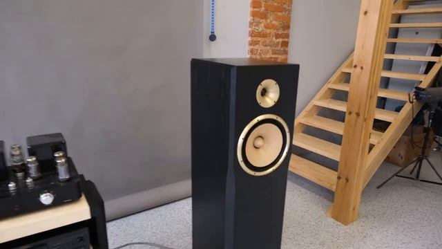 Custom speakers 2 way / Обзор 2-х полосной акустической системы смотреть онлайн