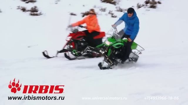 Обзор снегохода Dingo T150 смотреть онлайн
