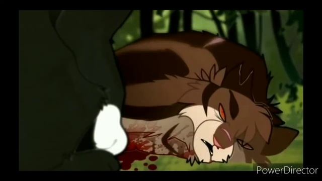 Коты~Воители Бич |КЛИП| \Blood water/. смотреть онлайн