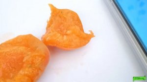 Абрикос Эрли блуш поспел, очень ранний сорт, Астрахань 2022г.