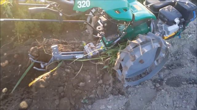 копка картофеля 07.09.2017г. смотреть онлайн