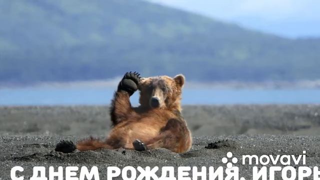 С ДНЁМ РОЖДЕНИЯ ИГОРЬ!!!?????????????????????????????? смотреть онлайн