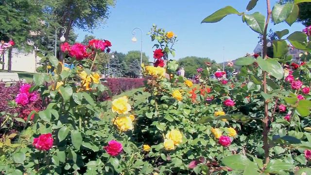 Астрахань Пл Ленина смотреть онлайн