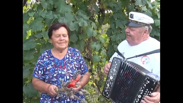 Играй гармонь. Песня для любимой. Василий Осадчий. смотреть онлайн