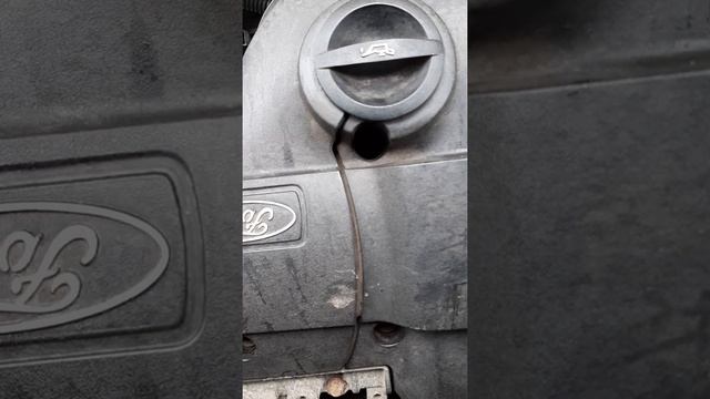 Ford Kuga 2.5t B5254T3 (Volvo) шум при холодном запуске (8°С) Cold start noise смотреть онлайн