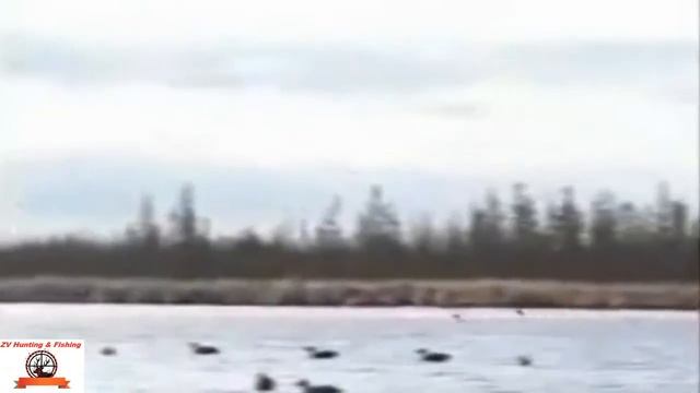 duck hunting . охота на утку с чучелами! смотреть онлайн