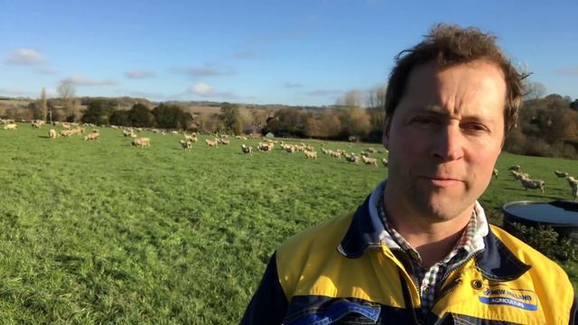 Field Story 1: Pillbox field смотреть онлайн