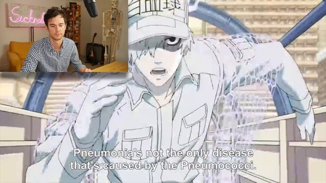 Real DOCTOR reacts to CELLS AT WORK! Anime review смотреть онлайн