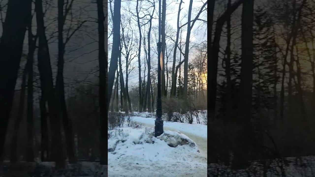 Парк Лесотехнического университета смотреть онлайн