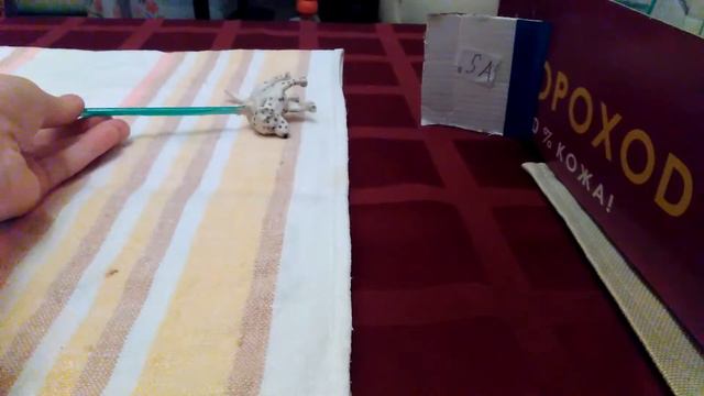 Мультик "как важно ходить в школу" смотреть онлайн