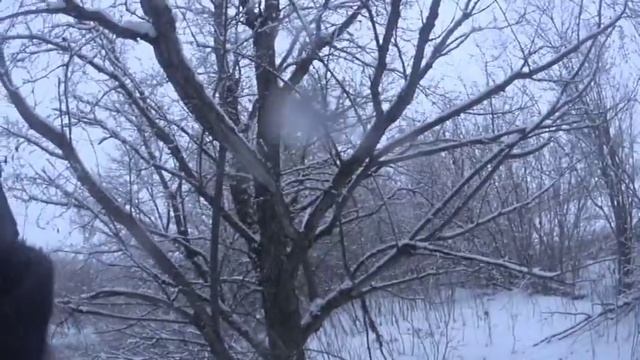 Охота с РГ Бушуй вл.Сивохин Ю.Н. смотреть онлайн