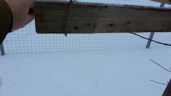 PCP Dobermann, 5,5, коллиматор, 34 метра.