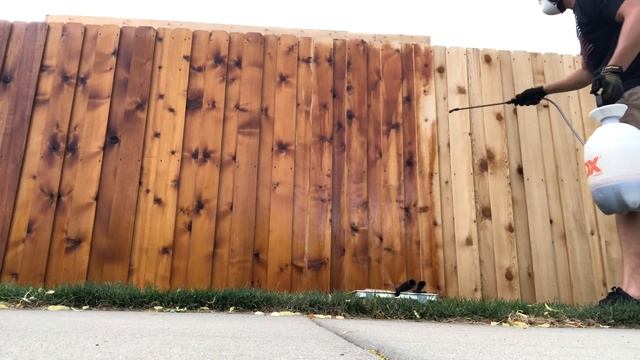 Staining Cedar Fence with READY SEAL Light Oak - Spray, Roll, Brush смотреть онлайн